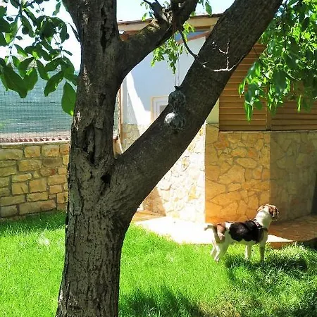 Rukavina Apartment *