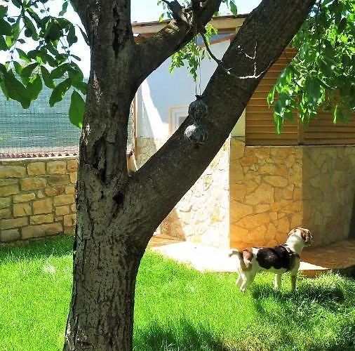 Rukavina Lejlighed *